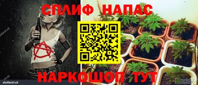 Альфа ПВП Заволжье
